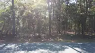 Lot 47 47 Ward Drive, Dudley, NC 28333 — lot in Rita Pines, Dudley, NC, photo 1 of 6: DJI_0690