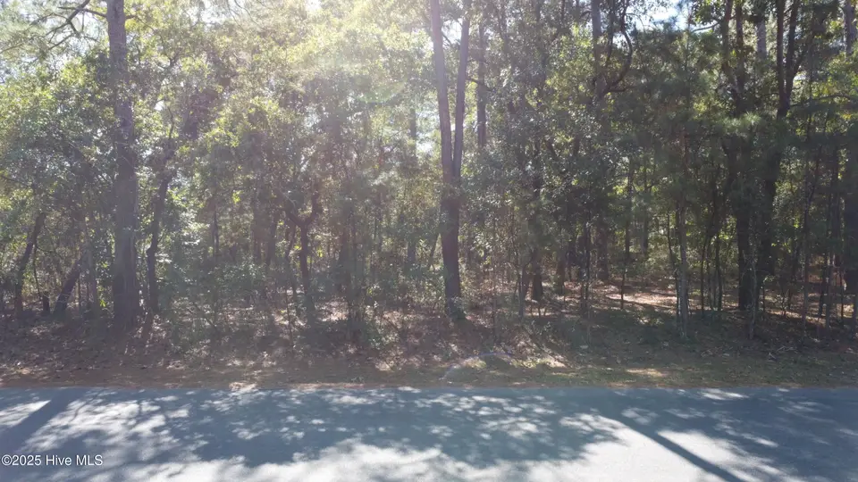 Lot 47 47 Ward Drive, Dudley, NC 28333 — lot in Rita Pines, Dudley, NC, photo 1 of 6: DJI_0690