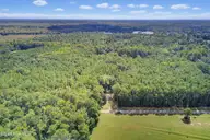 728 Warrior Trail, Whiteville, NC 28472 — 2-bedroom home, Whiteville, NC, photo 4 of 38: Gorgeous Surroundings