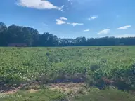 0 Stott Road, Bailey, NC 27807 — lot, Bailey, NC, photo 4 of 12: 0 Stott Rd. Bailey, NC Pic-2