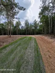 Tbd 2R-3 Peyton Drive, Eagle Springs, NC 27242 — lot, Eagle Springs, NC, photo 4 of 11: PXL_20260707_210649002
