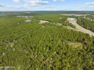 Lot222&232 Plantation Road, Wilmington, NC 28411 — lot in Greenview Ranches, Wilmington, NC, photo 2 of 12: 1-web-or-mls-DJI_0582