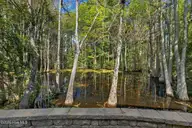 1809 Mews Drive, Wilmington, NC 28405 — 5-bedroom waterfront home in Landfall, Wilmington, NC, photo 16 of 72: 1809MewsDrive-14