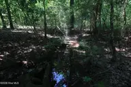 0 Crowatan Trail, Carthage, NC 28327 — lot, Carthage, NC, photo 18 of 18: 18_beyc6a67dc4726ce2