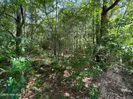 304 Eastman Road, Southern Pines, NC 28387 — lot, Southern Pines, NC, photo 2 of 5: Eastman Rd- 1