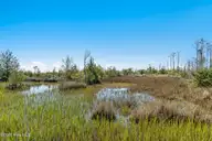 166 Fulcher Landing Drive, Stacy, NC 28581 — waterfront lot, Stacy, NC, photo 10 of 22: Waterfront vacant lot in Stacy
