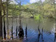 9870 46 Rivergate Road NW, Ash, NC 28420 — waterfront lot in Rivergate, Ash, NC, photo 8 of 20: IMG_5838