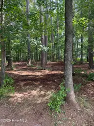 0 94 Winfield Lane, Pinetown, NC 27865 — waterfront lot in Winfield Estates, Pinetown, NC, photo 9 of 9: IMG_0571