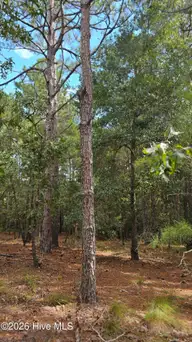 3023 1054 Cabadelo Circle SE, Bolivia, NC 28422 — lot in Seawatch @ Sunset Harbor, Bolivia, NC, photo 7 of 25