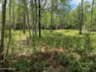 361 32&33 Ash Road, Boiling Spring Lakes, NC 28461 — lot in Boiling Spring Lakes, Boiling Spring Lakes, NC, photo 2 of 11