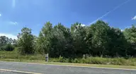 1923 Leonard Rich Road, Magnolia, NC 28453 — lot, Magnolia, NC, photo 1 of 14