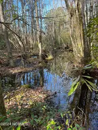 326 Sand Ridge Road, Hubert, NC 28539 — lot, Hubert, NC, photo 6 of 13: IMG_8231