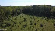 0 Ward Road, Whitakers, NC 27891 — lot, Whitakers, NC, photo 9 of 27: DJI_0505