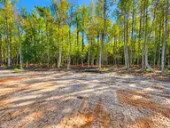 9770 Hinnant-edgerton Road, Kenly, NC 27542 — 3-bedroom home in Sullivan's Ridge, Kenly, NC, photo 24 of 25: 25862A79-5501-48D5-A879-EFB3E7DBE6E0