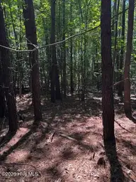 Lot 1 Dan Road, Robbins, NC 27325 — lot, Robbins, NC, photo 13 of 20