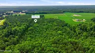 Lot 9 Point Caswell Road, Willard, NC 28478 — lot, Willard, NC, photo 3 of 12