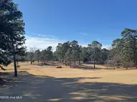 10 Pine Tree Road # 125, Pinehurst, NC 28374 — 3-bedroom condo in St Andrews Cond, Pinehurst, NC, photo 19 of 19: Golf Course