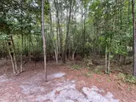 410 5 Bingham Street, Carthage, NC 28327 — lot in Carthage, Carthage, NC, photo 6 of 10: IMG_0755