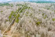 Lot 4 Leaman Road, Robbins, NC 27325 — lot, Robbins, NC, photo 1 of 7: DJI_20260225085145_0054_D-1A (1)