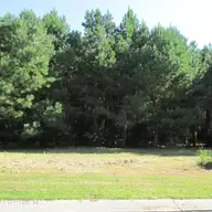 134 W Grandiflora Drive, Wallace, NC 28466 — lot in River Landing, Wallace, NC, photo 1 of 11: IMG_0683