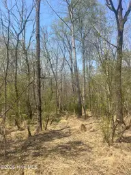Tbd Healing Acres Lane, Carthage, NC 28327 — lot, Carthage, NC, photo 7 of 19: IMG_3179