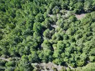 0 W Wards Bridge Road, Warsaw, NC 28398 — lot, Warsaw, NC, photo 14 of 31