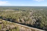 1730 Nc-58, Peletier, NC 28584 — lot, Peletier, NC, photo 11 of 21: 5-web-or-mls-DJI_0398