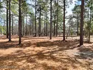 103 Chesterfield Drive, Pinehurst, NC 28374 — 4-bedroom home in Forest Creek, Pinehurst, NC, photo 19 of 47: DJI_0214