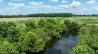 000 Oberry Road, Dudley, NC 28333 — lot, Dudley, NC, photo 10 of 38: 0OberryRd-DudleyNC-10