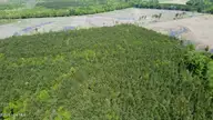 Off Speights Chapel Road, Whitakers, NC 27891 — lot, Whitakers, NC, photo 21 of 57: DJI_0590