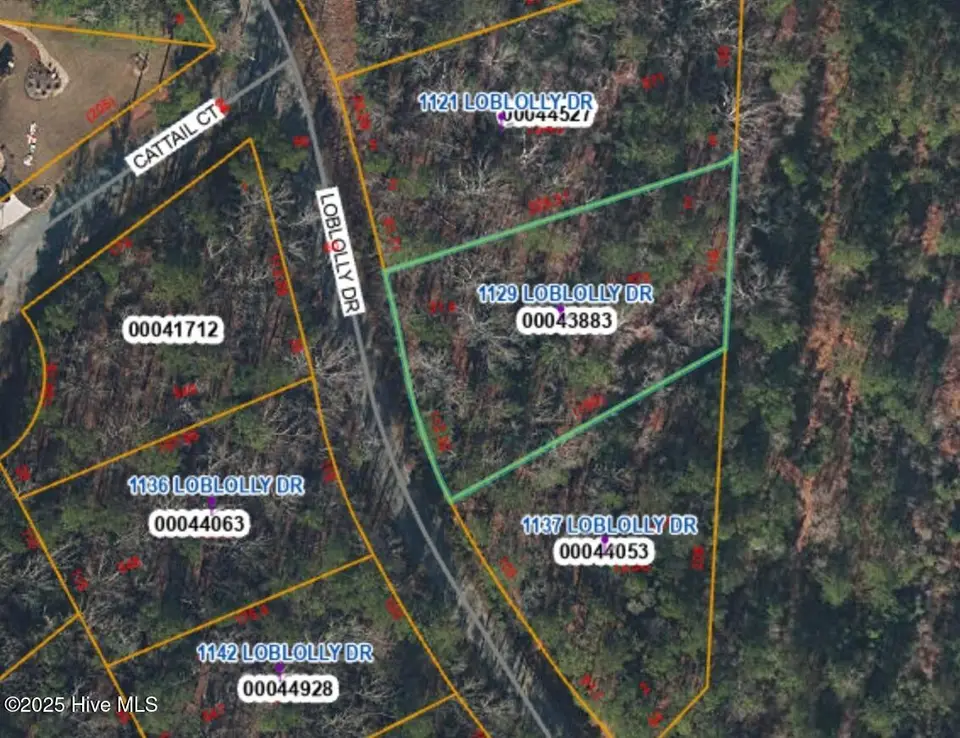 1129 Loblolly Drive, Vass, NC 28394 — lot in Woodlake, Vass, NC, photo 1 of 3: 1129 Loblolly lot photo