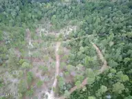 326 Sand Ridge Road, Hubert, NC 28539 — lot, Hubert, NC, photo 11 of 13: IMG_9033