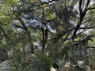 207 559 Muscadine Wynd, Bald Head Island, NC 28461 — lot in BHI (Bald Head Island), Bald Head Island, NC, photo 3 of 12: 207 Muscadine