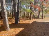 847 4565 Seagull Drive, Vass, NC 28394 — waterfront lot in Woodlake, Vass, NC, photo 3 of 7: 847 Seagull 1