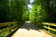 126 Glasgow, Rocky Mount, NC 27804 — lot in Belmont Lake Preserve, Rocky Mount, NC, photo 3 of 10: Enjoy walking trails