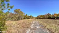 0 Piney Green Road, Jacksonville, NC 28546 — lot, Jacksonville, NC, photo 7 of 16: Land