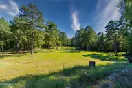 496 Yadkin Run Lane, Southern Pines, NC 28387 — 2-bedroom home in Horse Country, Southern Pines, NC, photo 10 of 67: 496 Yadkin -53