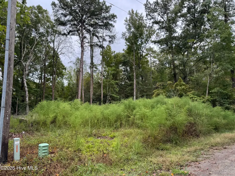 124 34, Blounts Creek, NC 27814 — lot in Crystal Beach, Blounts Creek, NC, photo 1 of 13: IMG_2479