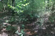 0 Crowatan Trail, Carthage, NC 28327 — lot, Carthage, NC, photo 9 of 18: 09_beyc6a67c3567e230