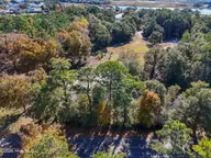 1.01 Acres P/O 12 1.01 Acres Boones Neck Road SW, Supply, NC 28462 — lot, Supply, NC, photo 1 of 5: 3375BoonesNeckRdSW - 2