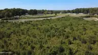 0 Ward Road, Whitakers, NC 27891 — lot, Whitakers, NC, photo 12 of 27: DJI_0508