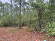 0 1 Nc Highway 210 Road, Currie, NC 28435 — lot, Currie, NC, photo 5 of 10
