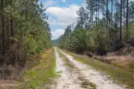 0 Nc-903, Stokes, NC 27884 — lot, Stokes, NC, photo 4 of 28: Stokes Tract 7