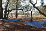 921 Everlong Lane, Wilmington, NC 28412 — 2-bedroom townhome in Riverlights, Wilmington, NC, photo 24 of 29: Hammocks Park