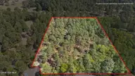 155 Harmony Lane, Southern Pines, NC 28387 — 4-bedroom home in McDeeds Creek, Southern Pines, NC, photo 10 of 66: 67-web-or-mls-Property line_Red