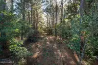 24324 Us Highway 17, Hampstead, NC 28443 — lot, Hampstead, NC, photo 4 of 19: ground-02