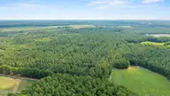 0 Indian Hill Road, Willard, NC 28478 — lot, Willard, NC, photo 5 of 12: 8_drone