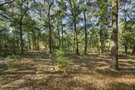 3326 Four Water View SW, Supply, NC 28462 — lot in Oyster Harbour, Supply, NC, photo 13 of 14: 33264WaterLaneSW-7