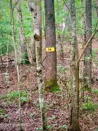 54 54 Palomino Road, Carthage, NC 28327 — lot in Carolina Equest, Carthage, NC, photo 1 of 20: IMG_5858 (002)