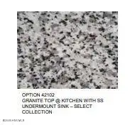 5110 Northstar Drive 87, Leland, NC 28451 — 3-bedroom townhome in Bishops Ridge, Leland, NC, photo 4 of 15: Select Granite at Kitchen